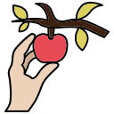 manzana icon