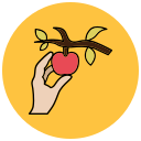 manzana icon