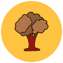 Árbol de otoño icon