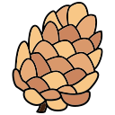 piña de pino icon