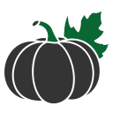 calabaza icon