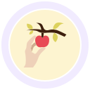 manzana icon