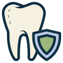 seguro dental icon