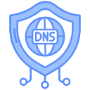 dns icon