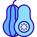 calabaza icon