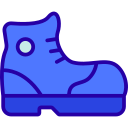 bota icon