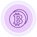 bitcoin icon