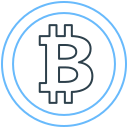 bitcoin icon