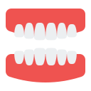 dentadura icon