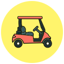 carrito de golf 