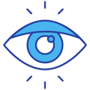 ojo icon