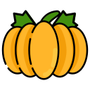 calabaza icon