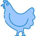 gallina icon