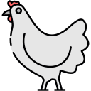 gallina icon