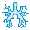 bronchien 