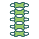 vertebral icon