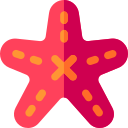 estrella de mar icon