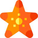 Estrella de mar