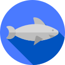 Tiburón icon