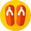 Sandalias icon