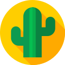 Cactus icon