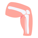 rodilla icon