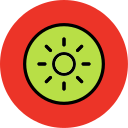 kiwi icon