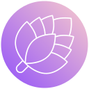 piña de pino icon