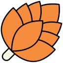 piña de pino icon