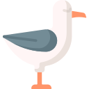 Albatros 