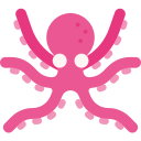 Pulpo