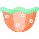 Clam 