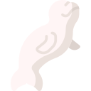 Beluga 