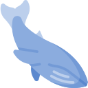 Ballena azul 