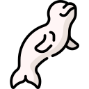 Beluga 