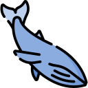 Ballena azul 