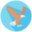 Águila icon