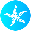 estrella de mar icon