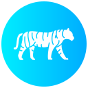 tigre icon