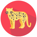 leopardo icon