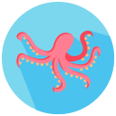 pulpo icon