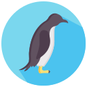 pingüino icon