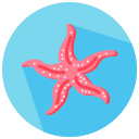 estrella de mar icon