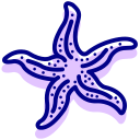 estrella de mar icon