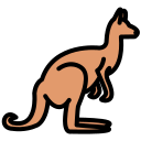 canguro icon