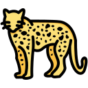 leopardo icon