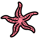 estrella de mar icon