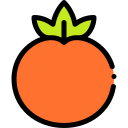 Tomate icon