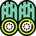 Pepino icon