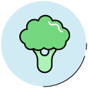 brócoli icon